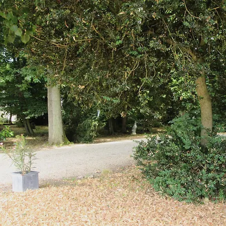 Beaumanoir